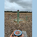 GNSS antenna