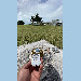 GNSS antenna