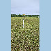 GNSS antenna