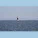 TGEH - Global view of station and lighthouse