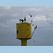 GNSS + TG