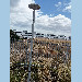 GNSS antenna