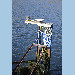 GNSS antenna on top of tide gauge sensor