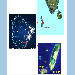 Images satellites de la région