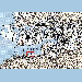 Tide Gauge locality map