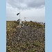GNSS antenna with N304