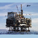 Harvest oil platform