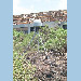Station de l'IGS (Photo issue du site internet de l’IGS)